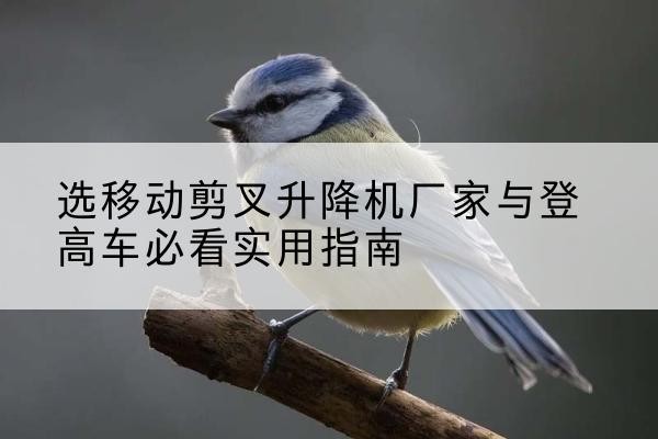 凤台电动升降机厂家-选移动剪叉升降机厂家与登高车必看实用指南