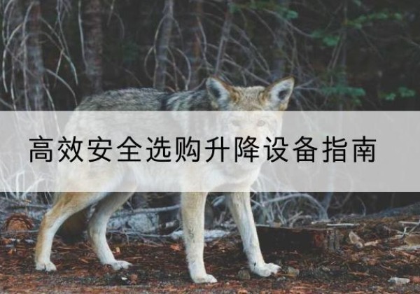 凤台升降货梯厂家推荐-*安全选购升降设备指南