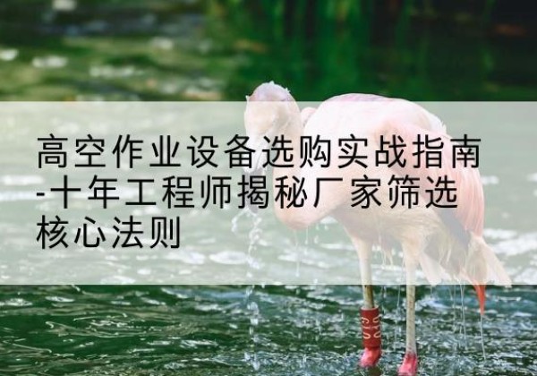 凤台剪叉式升降机厂家-高空作业设备选购实战指南-十年工程师揭秘厂家筛选核心法则