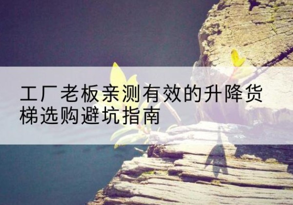 凤台升降货梯怎么选-工厂老板亲测有效的升降货梯选购避坑指南